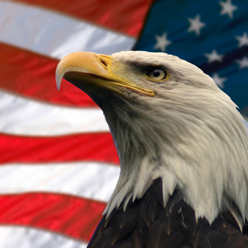Illustration for article titled MURICA!1!!1!!!1